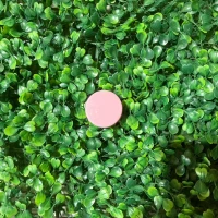 Exfoliante de Labios